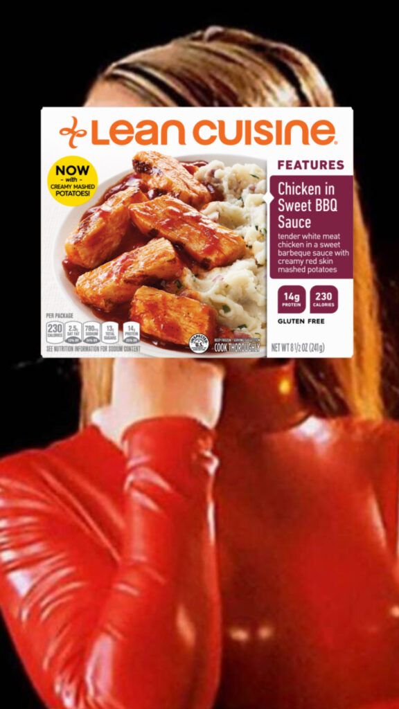 Britney Spears Outfits as Frozen Meals